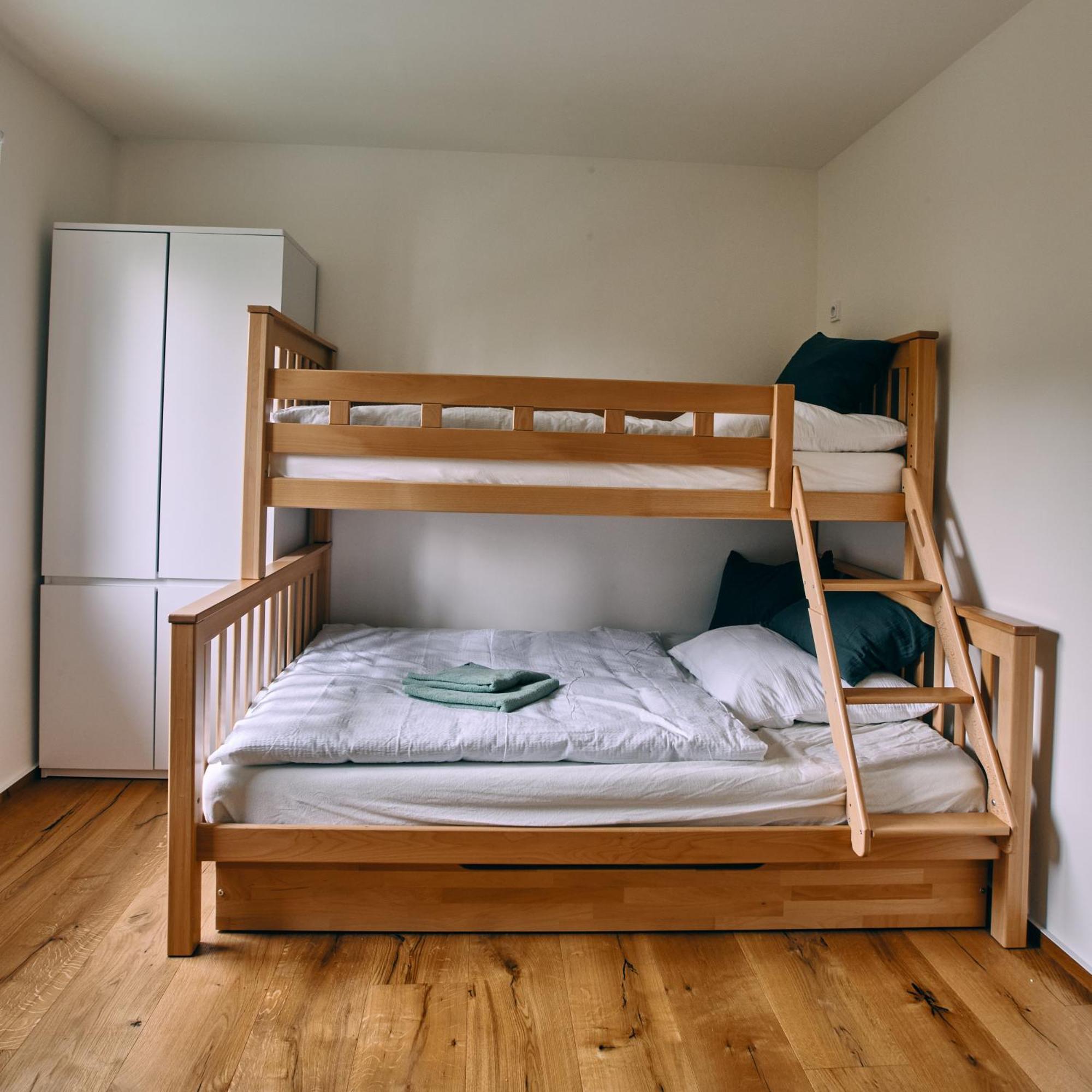 Jizerina Apartment Bedrichov  Luaran gambar